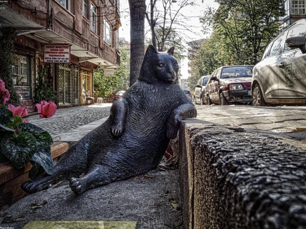 វិធីប្រើប្រាស់ DV38 ដើម្បីប្រសើរឡើងការងារ